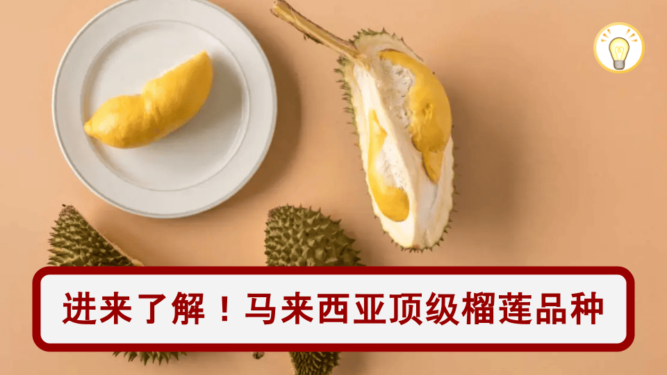 2025榴莲迷必读：马来西亚顶级榴莲品种完整指南